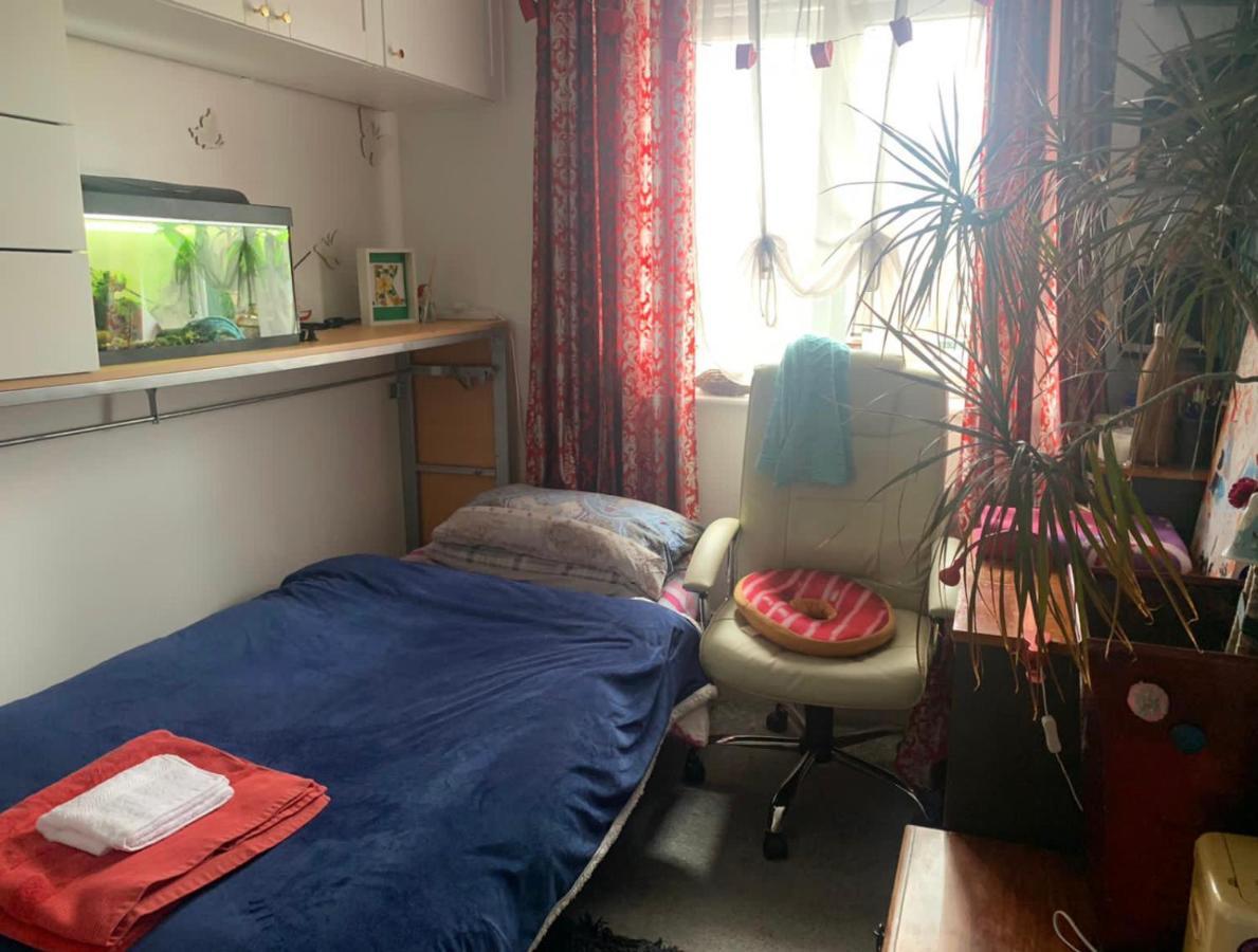 Cosy Room In London Wembley Eksteriør billede